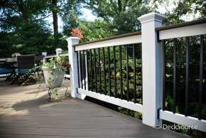 DS-Marietta-Trex-Job-20200314-01-13