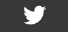 Twitter Logo